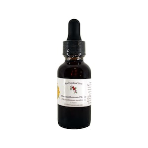 Chrysanthemum Flower Tincture Herb Extract Double Extraction