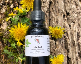 Holy Basil Tincture Herb Extract Double Extraction