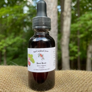 Beet Root (Beta Vulgaris) Tincture Herb Extract Double Extraction
