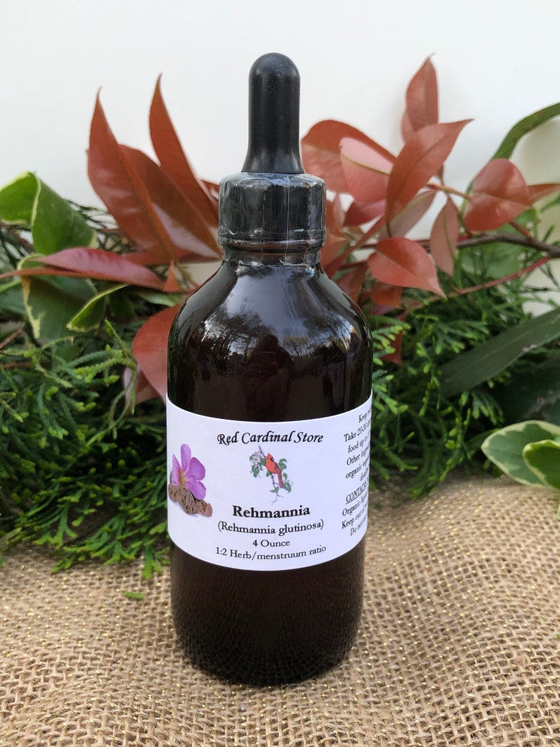 May include: A 4 ounce bottle of Rehmannia (Rehmannia glutinosa) herbal extract. The bottle is brown glass with a black dropper lid. The label is white with red cardinal logo and text that reads "Red Cardinal Store", "Rehmannia (Rehmannia glutinosa)", "4 Ounce", and "1:2 Herb/menstruum ratio".