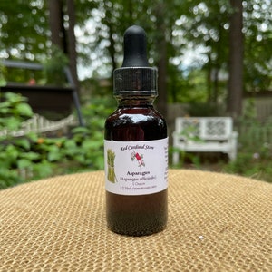 Asparagus Tincture Herb Extract Double Extraction
