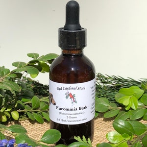 Eucommia Bark (Du Zhong, Tochu, Cortex Eucommiae) Tincture Herb Extract Double Extraction