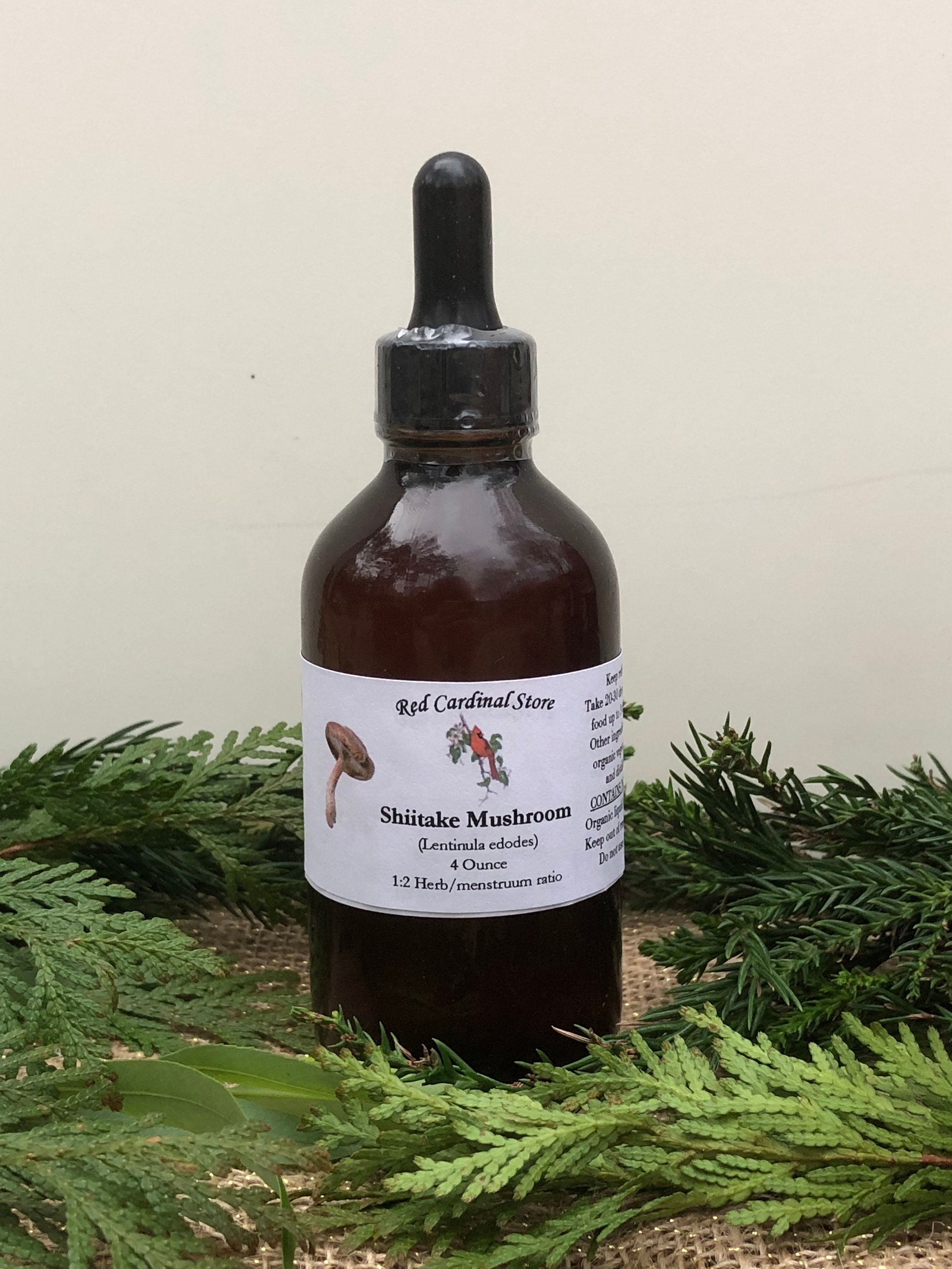 Shiitake Mushroom Tincture Herb Extract Double Extraction Etsy