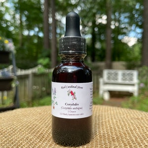May include: A dark brown glass bottle with a black dropper top. The bottle is labeled "Red Cardinal Store" and contains Corydalis (Corydalis ambigua) 1 ounce, 1:2 Herb/menstruum ratio.