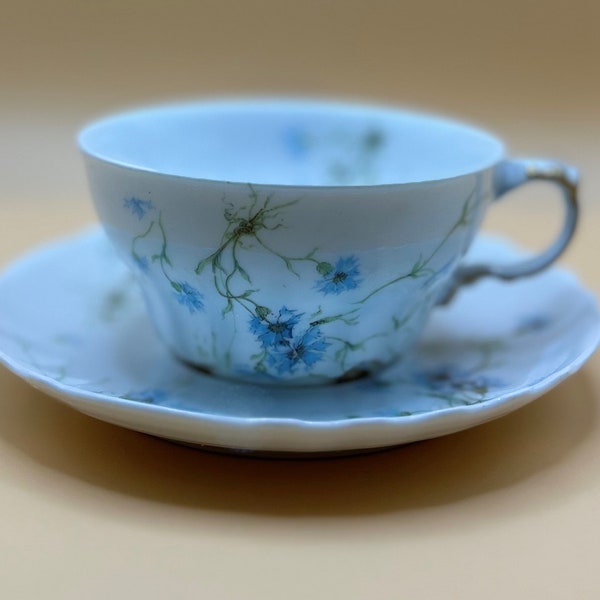 Antique Rare Fine Bine China Theodore Haviland Limoges Tea Cup and Saucer
