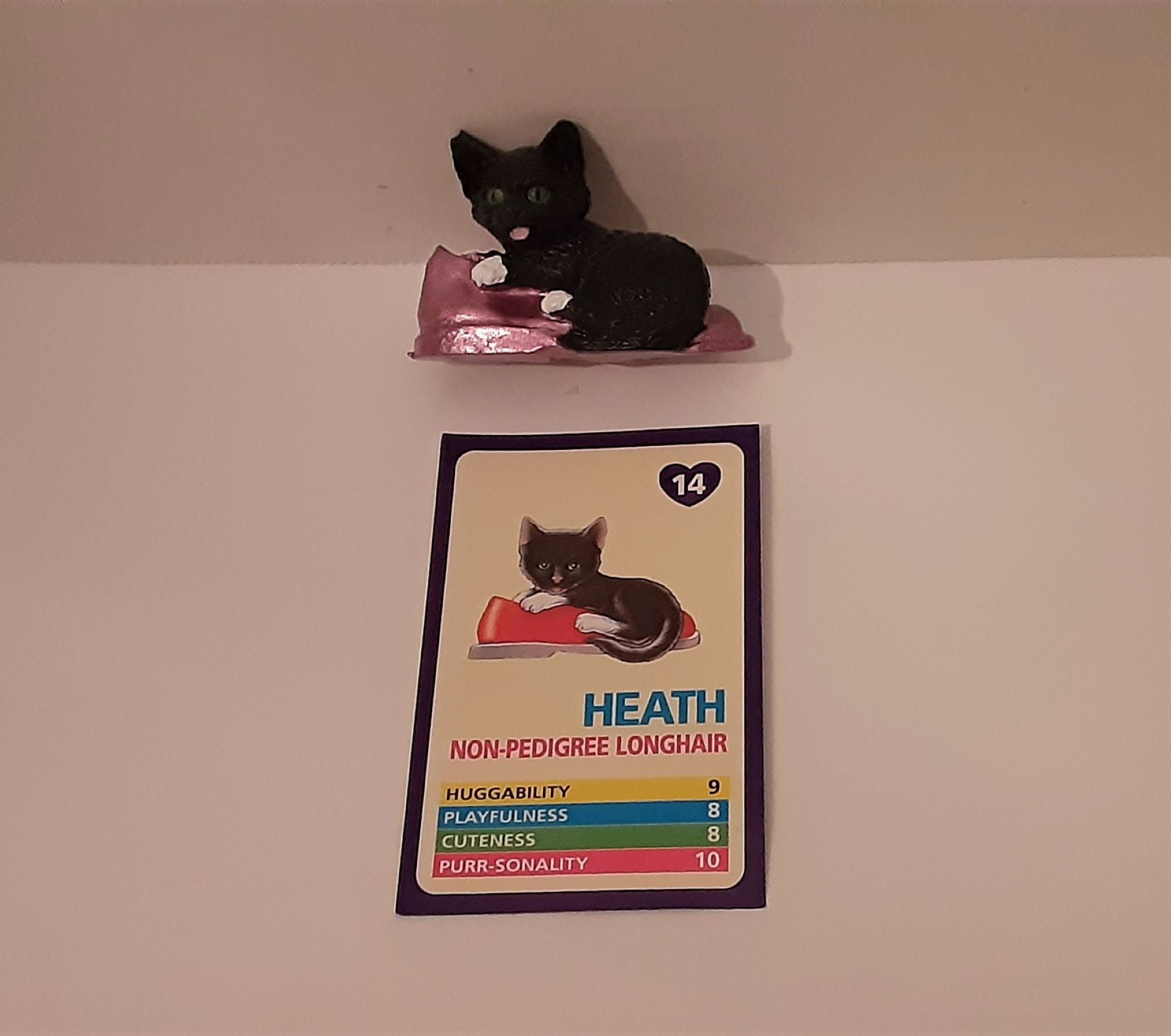 Kitty in My Pocket Love N Sparkle Set of 5 Cat Figures With