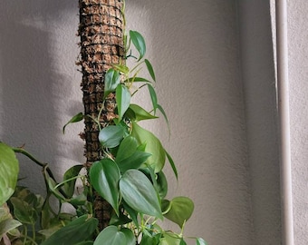 Moss pole- Steel coated wire with plant ties