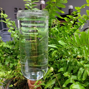 Keramik Spike mit klarer Flasche