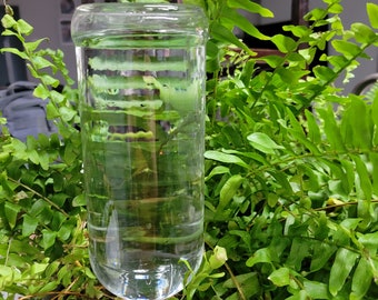 Ceramic spike with clear bottle