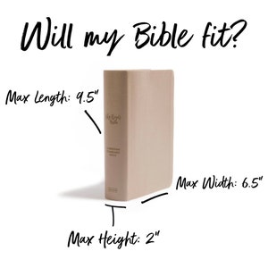 May include: A beige Bible with the text "She Reads Bible" and "Christian Standard Bible" on the cover. The Bible measures 9.5 inches long, 6.5 inches wide, and 2 inches high.