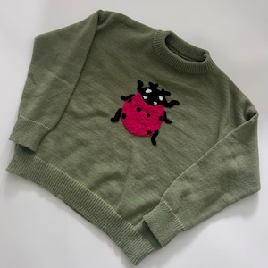 May include: An olive green sweater with a large embroidered ladybird design. The ladybird has a bright pink body with black spots, black legs, and a black head. The sweater has a ribbed crew neck and cuffs.