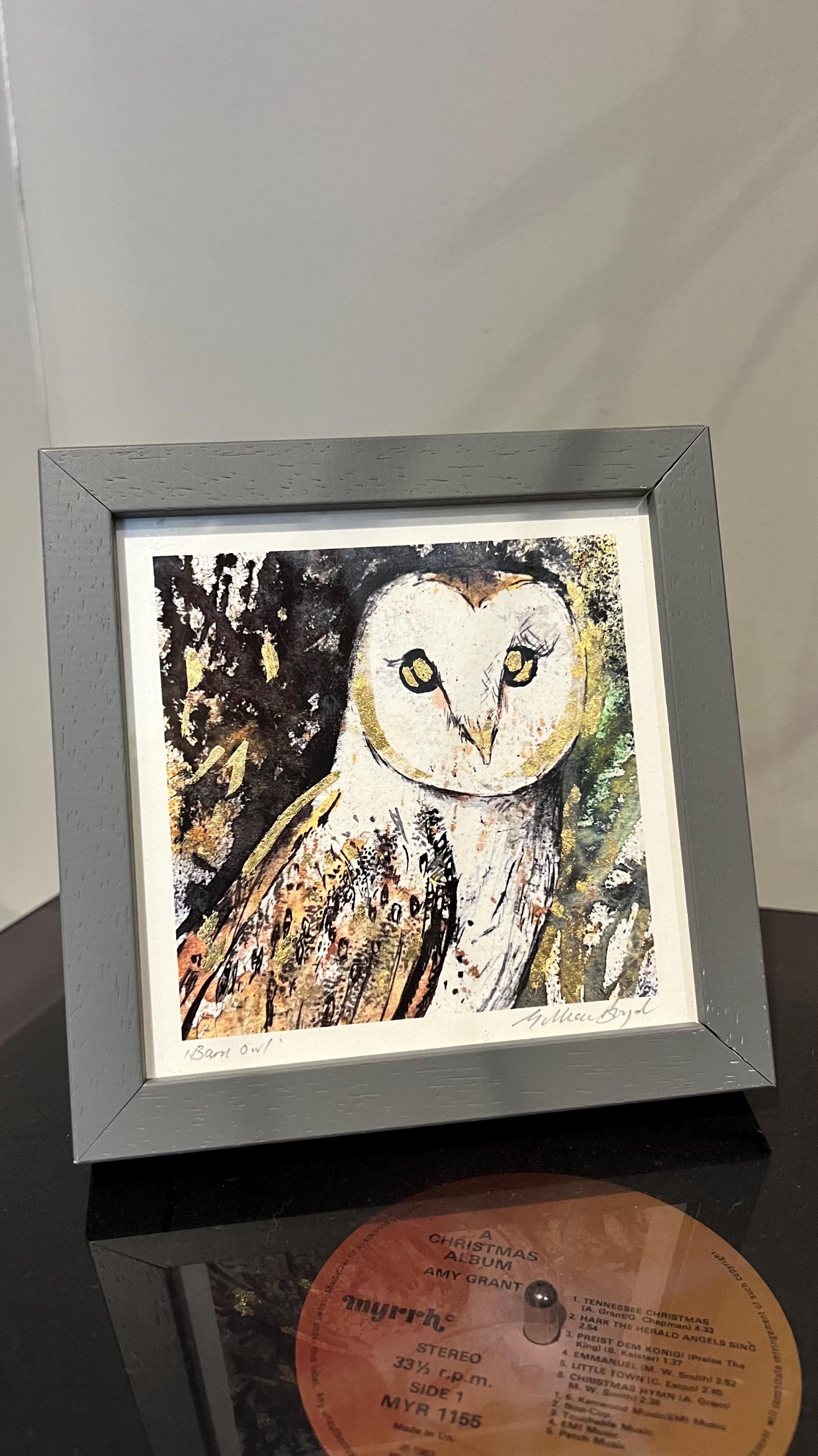 Barn Owl