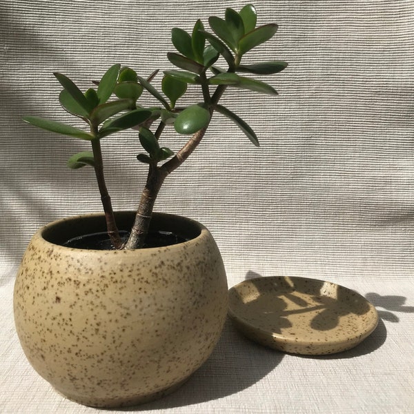 Handgemachte Pflanztopf  aus Keramik (mit schwarzen Punkten Ton) / Handmade Ceramics Plant Pot