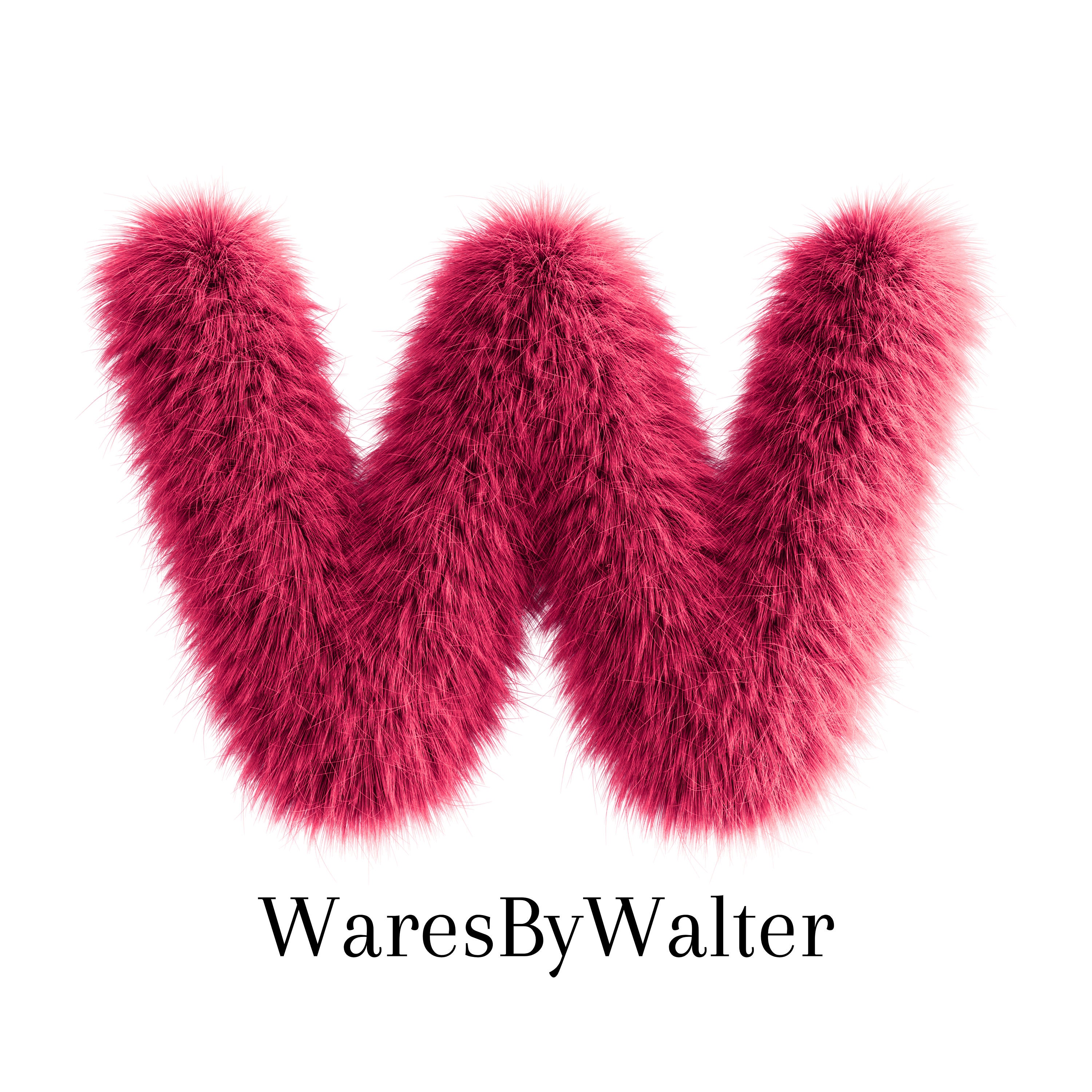 The Sass is Strong With This One Shirt, Funny Star Wars Shirt, Star