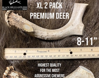 XL Premium Deer Antler Dog Chew