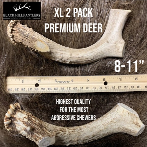 XL Premium Deer Antler Dog Chew