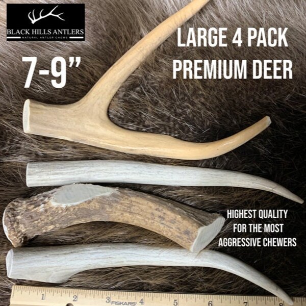 Premium Large Deer Antler Dog Chew - 2 and 4 Packs