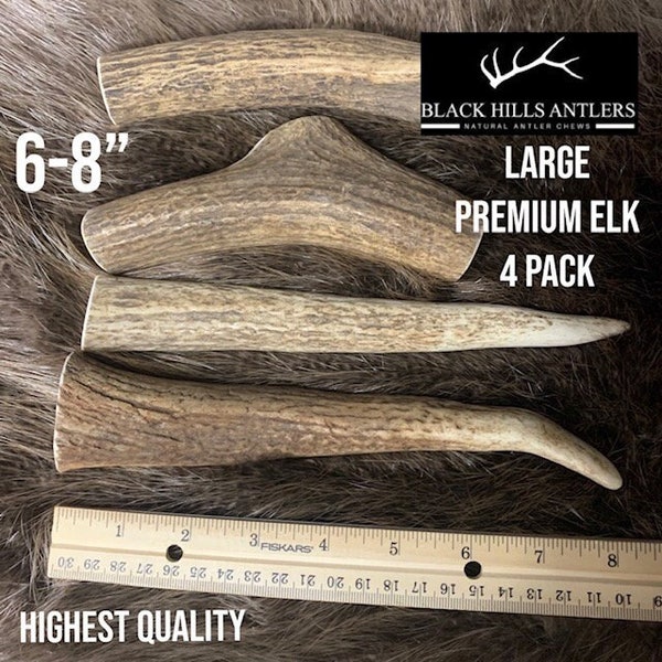 Premium Large Elk Antler Dog Chews 2 and 4 Packs