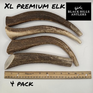 XL Premium Elk Antler Dog Chew - 2 and 4 Packs