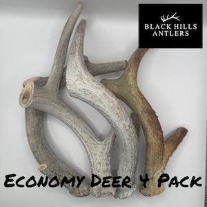 May include: A collection of deer antlers in various shades of brown and gray. The antlers are arranged on a white surface. The text "Economy Deer 4 Pack" is displayed in black font. The Black Hills Antlers logo is in the upper right corner.