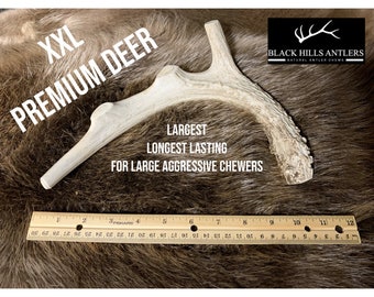 May include: An XXL premium deer antler chew for dogs. The antler is light brown and curved, with text that reads "Largest, Longest Lasting, For Large Aggressive Chewers." A ruler shows the antler is approximately 12 inches long.