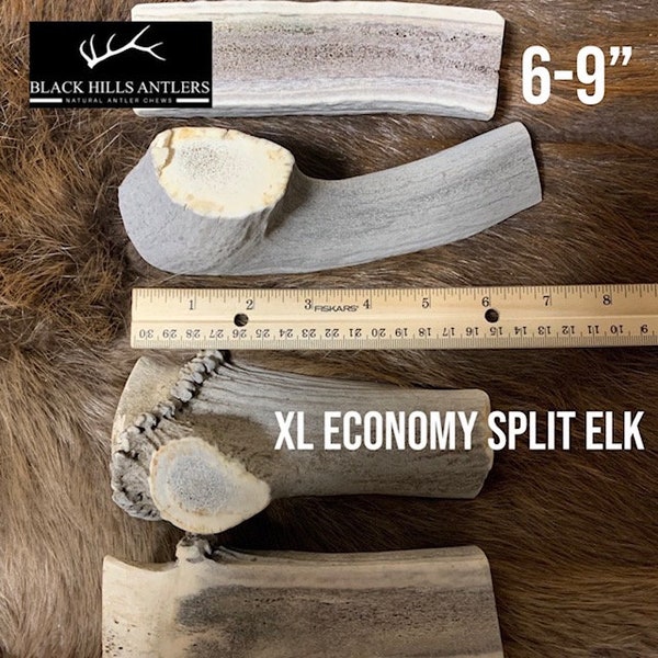 XL Split Economy Elk Antler Dog Chew - 2 and 4 Pack