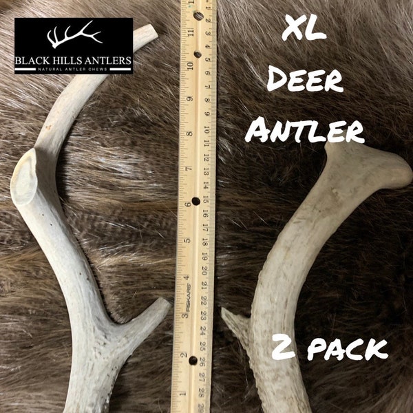 XL Mid-grade Deer Antler Dog Chew - 2 and 4 Packs
