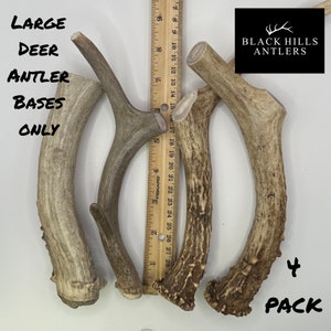 Premium Large Deer Antler Dog Chew Bases only - 2, 4 and 6 packs