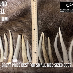 May include: A close-up of a pile of 1 pound of small premium deer antlers. The antlers are light brown and are arranged on a brown fur background. A ruler is visible in the background. The text "1 POUND SMALL PREMIUM" is visible at the top of the image. The text "BLACK HILLS ANTLERS NATURAL ANTLER CHEWS" is visible at the top right of the image. The text "GREAT PRICE BEST FOR SMALL-MED SIZED DOGS" is visible at the bottom of the image.