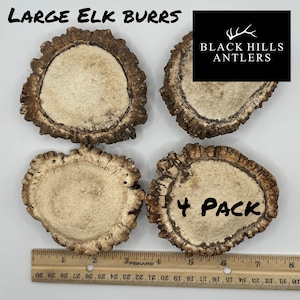 May include: Four large elk antler burrs, each with a natural, light brown color and a rough, textured surface. The burrs are arranged in a square pattern on a white background. The text "LARGE ELK BURRS" and "BLACK HILLS ANTLERS" are visible in the image. The text "4 PACK" is also visible in the image.