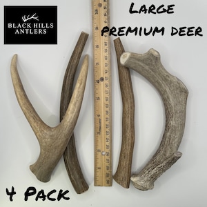 Premium Large Deer Antler Dog Chew - 2,4 and 6, 8 packs