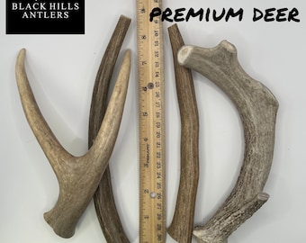 May include: Four large premium deer antlers, measuring approximately 10 inches in length, are arranged on a white surface. The antlers are a light brown color and have a natural, rough texture. The text "4 PACK" is written in black below the antlers. The text "LARGE PREMIUM DEER" is written in black above the antlers. A ruler is visible in the background.