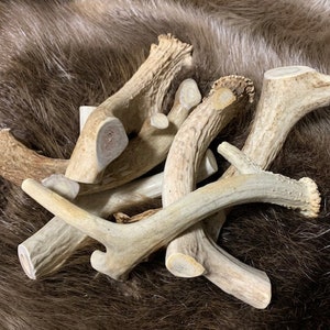 May include: A pile of natural antler dog chews. The antlers are light brown and have a rough, textured surface.