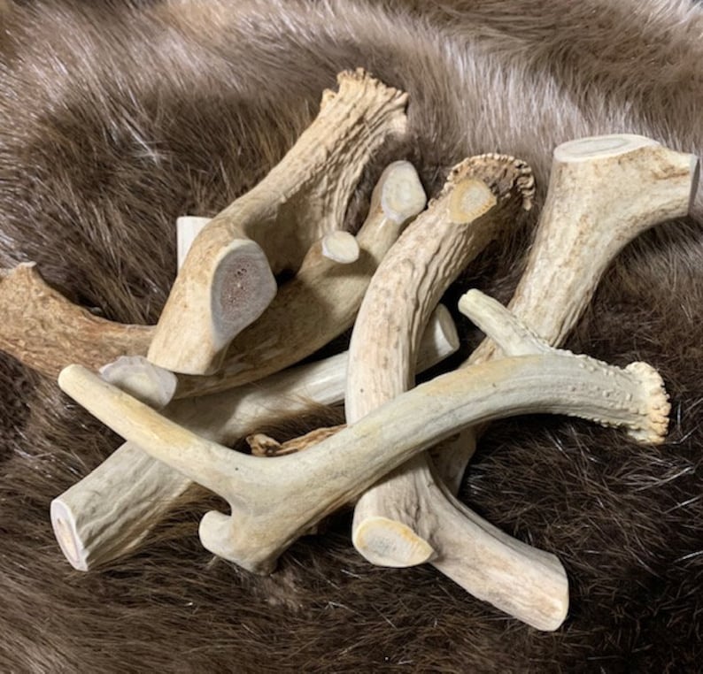 May include: A pile of natural antler dog chews. The antlers are light brown and have a rough, textured surface.