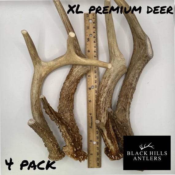 XL Premium Deer Antler Dog Chew - 2, 4 or 6 Pack