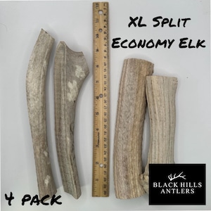 May include: Four split elk antlers for dogs. The antlers are light brown and have a natural, rough texture. The antlers are arranged in a row on a white surface. A ruler is in the background for size reference. The text "XL Split Economy Elk" and "4 Pack" are visible in the image. The text "Black Hills Antlers" is also visible in the image.