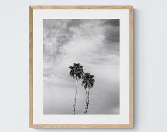 Palm Springs Palm Trees, Digital Download Art Print, Black and White California Photography, Airbnb Wall Decor