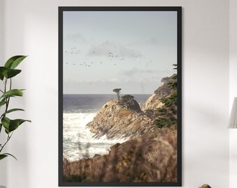 Big Sur Coast Photography Print: Point Lobos Cypress Tree Ocean Cliff Wall Art