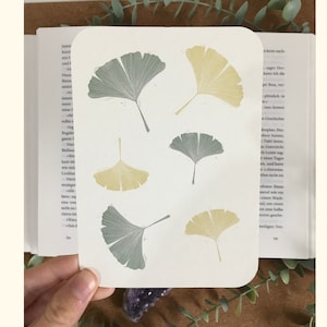Carte postale Ginkgo Feuille Nature Carte de vœux Art Print Cadeau Papeterie Pleine conscience