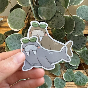 Kawaii Sticker Walross cute Laptop Aufkleber