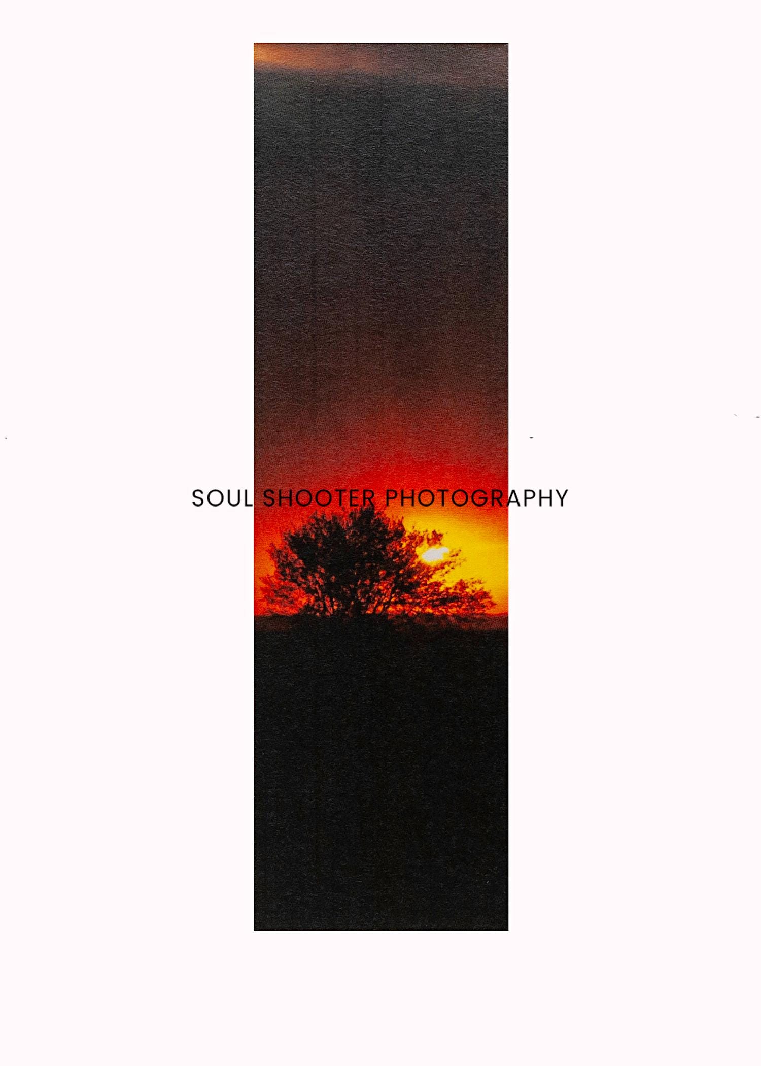 Ride the Sunset Bookmark