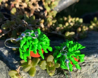 Curly  cactus houseplant earrings