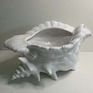 Peut inclure: Un pot de fleurs en céramique blanche en forme de coquillage. Le pot a la forme d'un coquillage, avec une large ouverture et un extérieur détaillé et nervuré. La coquille a une finition brillante. Convient pour l'intérieur ou l'extérieur. Mesure environ 30 cm de long.