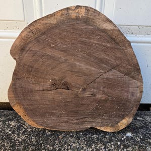 Könnte beinhalten: Ein kreisförmiger Querschnitt eines Baumstamms mit dunkelbrauner Holzmaserung und einem helleren, beigen äußeren Rindenrand. Die Oberfläche weist sichtbare Jahresringe, einen markanten diagonalen Riss und eine raue, texturierte Struktur auf.