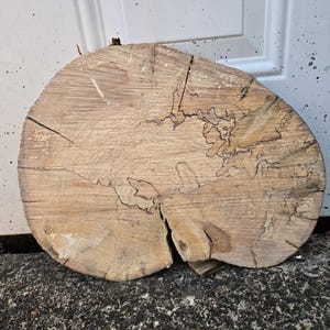 May include: A circular, light brown wood slice featuring a rough, textured surface with visible grain patterns, dark spalted lines, and a prominent vertical crack extending from the bottom edge toward the center of the piece.