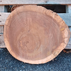 May include: A cross-section of a tree trunk, showcasing the natural wood grain and growth rings. The wood has a warm, brown hue with a lighter-colored outer edge. The cut is roughly circular, with a slightly irregular edge, and is set against a wooden pallet.