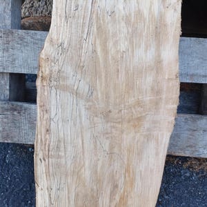 Spalted Maple Live Edge Short Slabs
