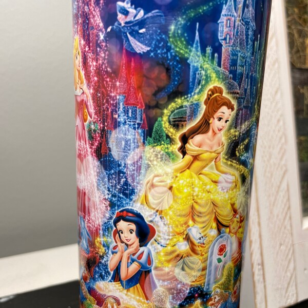 Disney Princess - Fireworks