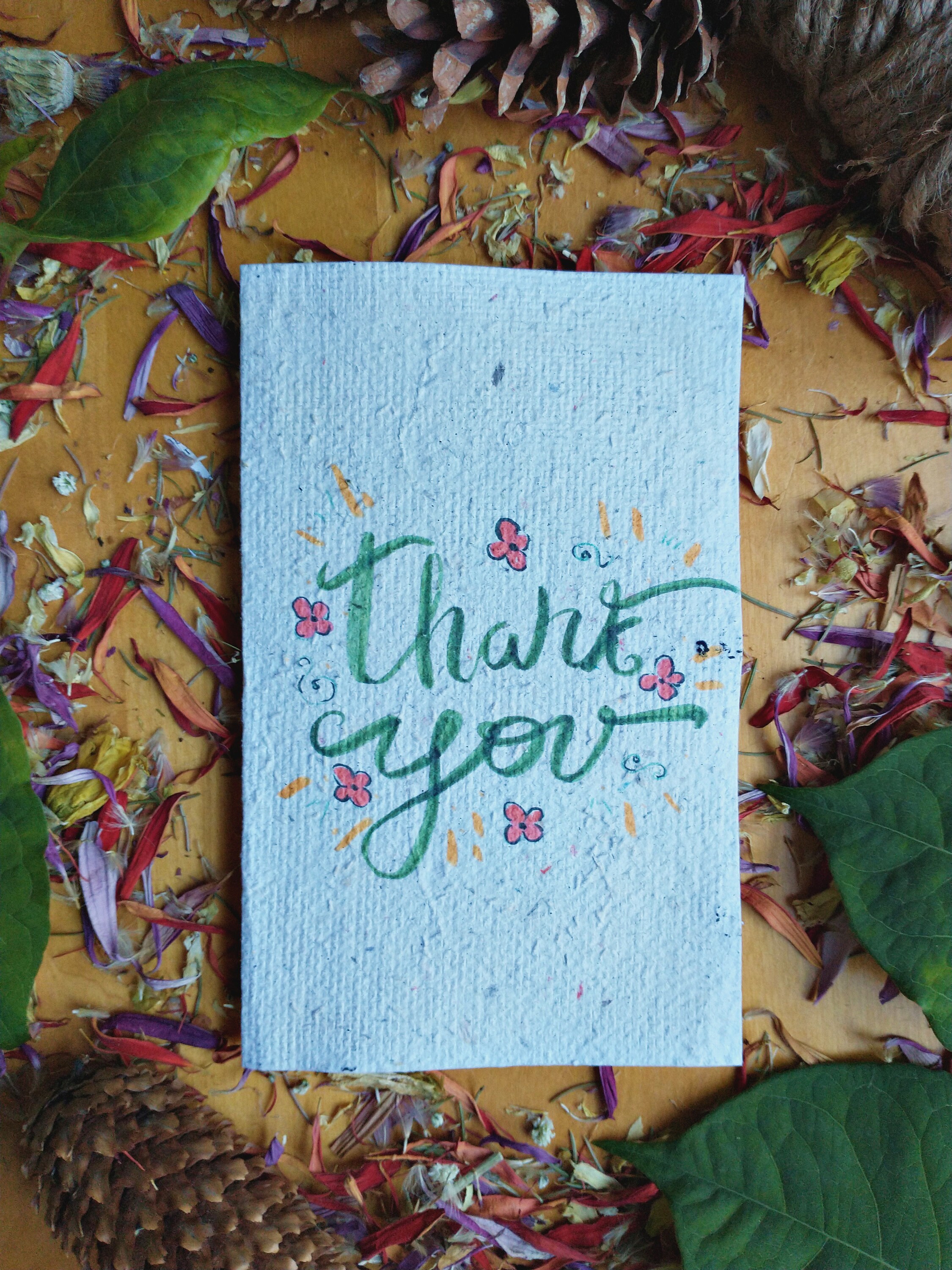 Plantable thank you seed paper card ecofriendly cards Etsy