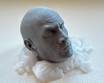 Miniaturowy kamień drukowany w technologii 3D z twarzą The Rock – wyjątkowy prezent popkulturowy | The Rock Rock